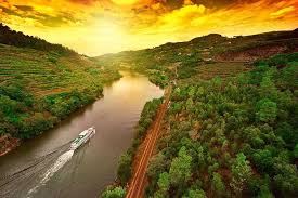 We have the best rio ave fc vs fc porto sports streams online. Day Trip From Porto To Regua By Bus And Return By Boat 2021
