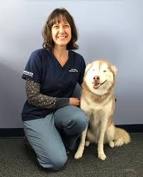 .on all pets veterinary clinic in middleton, undefined discover more veterinary services for animal specialties companies in middleton on manta.com. Contact Our Middleton Wi Veterinarians At All Pets Veterinary Clinic