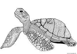 The turtle coloring pages are thus extremely popular among young children as this provides them with ample opportunities for exploring their creativity. Zentangle Turtle Adults Coloring Pages Printable