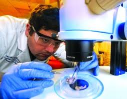 Class Notes and In Memoriam: DCG Winter 2019