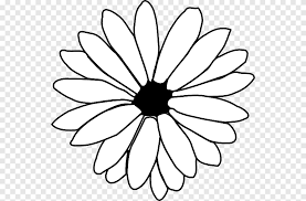 Se vuoi diventare bravo nel creare foto in bianco e nero, devi allenarti a ignorare i colori nelle scene e nei soggetti che hai di fronte e iniziare a vedere in bianco e nero. Fiore Line Art Disegno Contorno Di Petali Di Fiori Arte Bianco E Nero Png Pngegg
