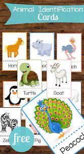 These Animal Identification Cards Are Perfect For Toddlers There Are So Many Ways These Could B Toddler Activities Toddler Learning Activities Animal Matching