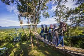 Jun 27, 2021 · *sektor industri yang mendapatkan harga gas bumi tertentu itu sebanyak tujuh sektor, yaitu industri pupuk, petrokimia, oleokimia, baja, keramik, kaca, dan sarung tangan karet, kata direktur jenderal industri kimia, farmasi, dan tekstil (ikft) kementerian perindustrian, muhammad khayam dinukil dari siaran pers, minggu (27/6). Menikmati Keindahan Pegunungan Meratus Dari Kampung Bambu