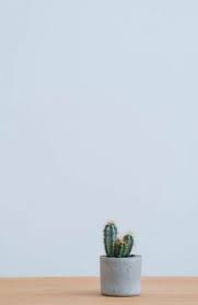 A number of species of cacti have been shown to contain psychoactive agents, chemical compounds that can cause changes in mood, perception and cognition through their. 100 Logo Ideas Cactus Art Cactus Succulent Art
