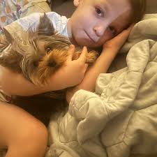 How to connect with attorneys and law firms in Israel for potential  collaboration?