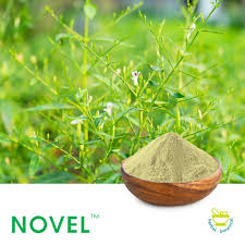 Bertujuan membangun minat membaca novel dimanapun dan kapanpun, juga membangun jalan bagi para penulis novel untuk bisa lebih mudah dalam mengorbitkan karya mereka. Andrographis Paniculata P E 10 Ag Novel Nutrients Pvt Ingredients Online