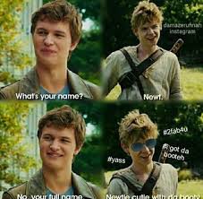 Pin By Ffuunnkkoo On Maze Runner Memes Maze Runner Funny Newt Maze Runner Maze Runner Movie