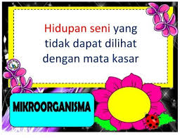 Agen penyebaran biji benih (sains thn 5) tumbuhan memerlukan agen untuk menyebarkan biji benihnya. Istilah Sains Tahun 6