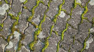 15k likes · 3 talking about this. Eliminer La Mousse Sur Une Terrasse Cote Maison