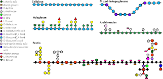 We did not find results for: Pdf Gut Fermentation Of Dietary Fibres Physico Chemistry Of Plant Cell Walls And Implications For Health Semantic Scholar
