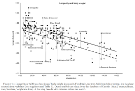 54 veritable dog longevity chart