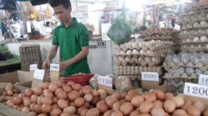 Harga telur ayam eropa di medan. Ini Cara Membedakan Telur Ayam Infertil Yang Cepat Membusuk Dan Telur Dalam Negeri Lebih Tahan Lama Tribun Medan