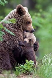 Littlepawz Momma There Is A Scary Guy Trying To Take A Picture Cute Animal Pictures Animals Cute Animals