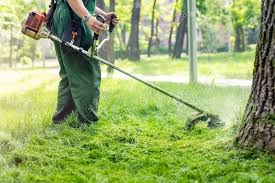 Generally speaking, the mower decks on most standard lawnmowers will be able to get up to about four. Worker Mowing Tall Grass With Electric Or Petrol Lawn Trimmer Stock Photo Picture And Royalty Free Image Image 141610007