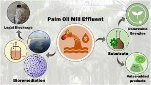 Methane, a greenhouse gas, 25 times more potent than. Outlook On Biorefinery Potential Of Palm Oil Mill Effluent For Resource Recovery Sciencedirect
