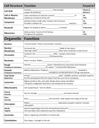 Cell Components And Functions Chart Bedowntowndaytona Com