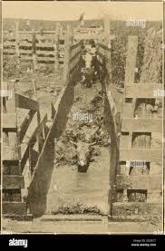 Image result for dip vat