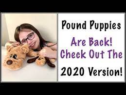 Maricopa county, chandler, az id: Pound Puppies 2020 Review Youtube
