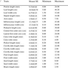 Image result for Ixora kalehensis