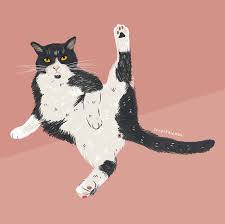 Funny Cat Art Tuxedo Cat Print Cat Poster Cat Illustration Etsy In 2020 Cat Art Cat Posters Cats Illustration