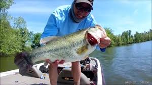 We did not find results for: Fishing Crab Orchard Lake In Il Map Fish Species Lake Info