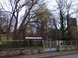 Things to do near botanischer garten gera. Botanischer Garten Gera Wikipedia