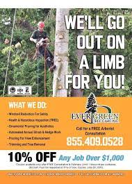 Evergreen Tree Care Tree Service Tree Care Evergreen Trees