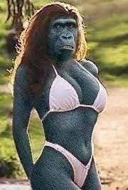 images?q=tbn:ANd9GcQxtzeNqoSZ7DnWH7s5rmg