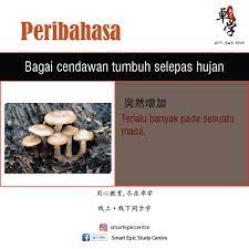 Terlalu banyak pada sesuatu masa. Bagai Cendawan Tumbuh Selepas Hujan I Love Sungai Besar Facebook Peribahasa Peribahasa 260 Peribahasa Cikgugoh Peribahasa English To Bm Phrasebook Part 8 Sayings Expatgo Latihan Peribahasa Bergambar Pt3 P4 P5 P6 4 5 6å¹´çº§ 300é¢˜