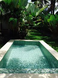 Shaded And Secluded Piscine Et Jardin Piscine Petite Piscine