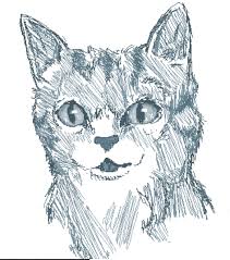 Derp Cat Drawing Cat Drawing Drawings Art It is i heloísa // 🇧🇷 unbound.com/books/madcat. pinterest