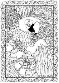 728 x 963 jpg pixel. Animal Coloring Pages Blue And Gold Macaw