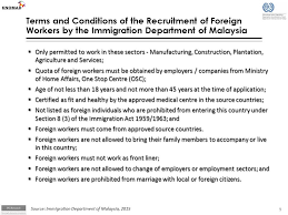 Follow us on instagram and subscribe to our telegram channel for the latest. Migration Cost Survey On Vietnamese Workers In Malaysia Workshop On Measuring Migration Costs For The Low Skilled The World Bank Washington Dc November Ppt Download