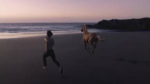 Driver appears to transform into a centaur by the end, which, sure! Pz Wz90mxzhwxm