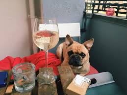 No Wine For You Sorry Picture Getty The Love Is Blind Finale Has Finally Been Released Unto The World And For That In 2020 Wine Drinks Dog Wine Wine Glass Sayings