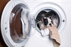 Each dealer has a specific territory they manage. Find The Best Washer And Dryer For Your Apartment Apartmentguide Com
