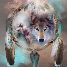 Sesli Yorum Kokserek Tablolar Hayvanlar Wolf