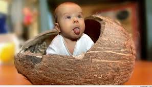 Best 100 funny jokes in hindi. Funny Baby Pictures Wallpaper Hd Stress Buster