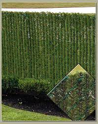 Hedgelink Privacy Chain Link Fence Slats Privacylink Privacy Landscaping Privacy Landscaping Backyard Fence Landscaping