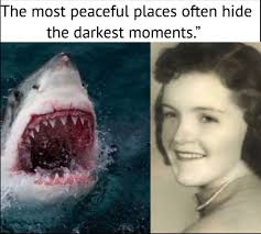 Once in the coastal town of Sharkington Bay, where the waves collided with  the craggy shores and sharks swam in abundance, lived two young siblings  named Tim and Lily. Both were known