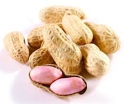 Diterbitkan november 2, 2015 dalam kategori oleh azzamy. Kacang Tanah Gambar Unduh Gratis Imej 500561757 Format Jpg My Lovepik Com