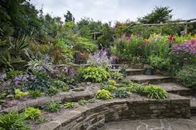 If you're searching for a plant nursery near me then this might be the right place for you to find. Sue Proctor Plants Hostas Hostas Hostas West Yorkshire