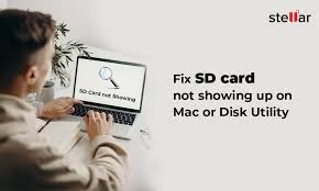 We did not find results for: Sd Card Not Showing Up On Mac Or Disk Utility Solved Stellar
