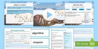 A Fantastic Lesson Pack That Focuses On The Writing Of Haikus Linked To An Arctic Or Polar Regions Topic Tags In This Resou Arctic Animals Haiku Lesson Arctic