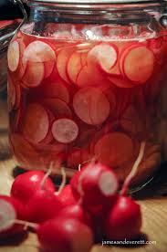 Pickled Radishes James Everett Recipe Pickled Radishes Radish Recipes Red Wine Vinegar Recipes