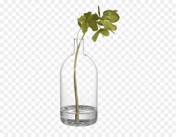 Flower vase png images vectors and psd files free download on. Vase Flower