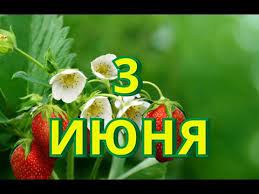 До конца года остаётся 211 дней. 3 Iyunya Den Rozhdeniya Parashyuta I Drugie Prazdniki Youtube