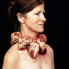 Deep Viewpoints: Scripted Support for the Citizen Curation of Museum  Artworks