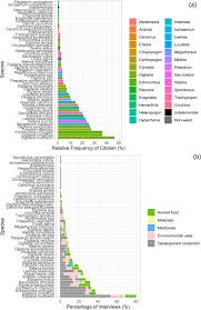 Image result for Digitaria pseudodiagonalis