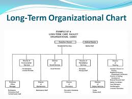 17 eye catching organizational chart for a nursing home